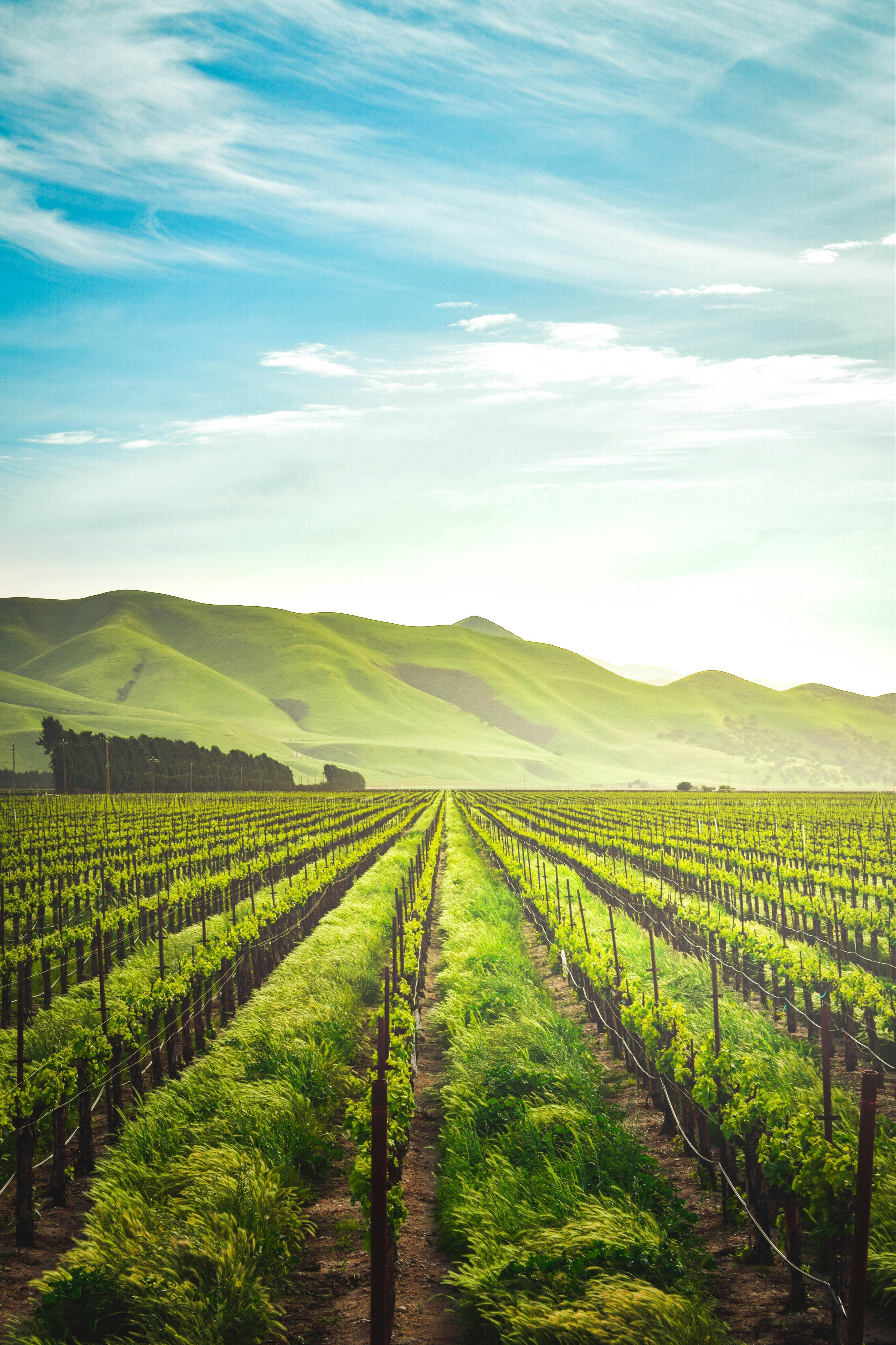 About Agriculture