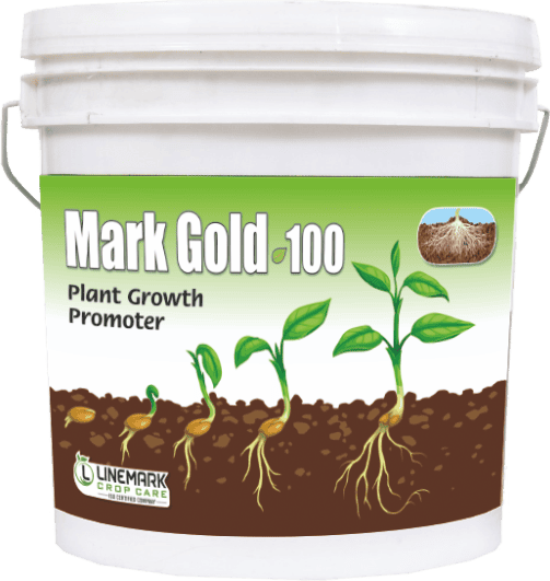 Mark Gold - 100