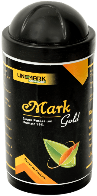 Mark Gold