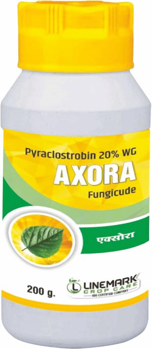 Axora
