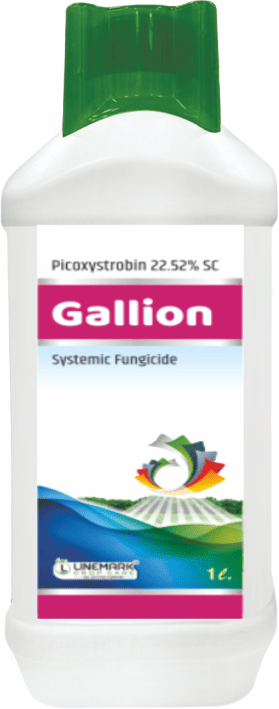 Gallion