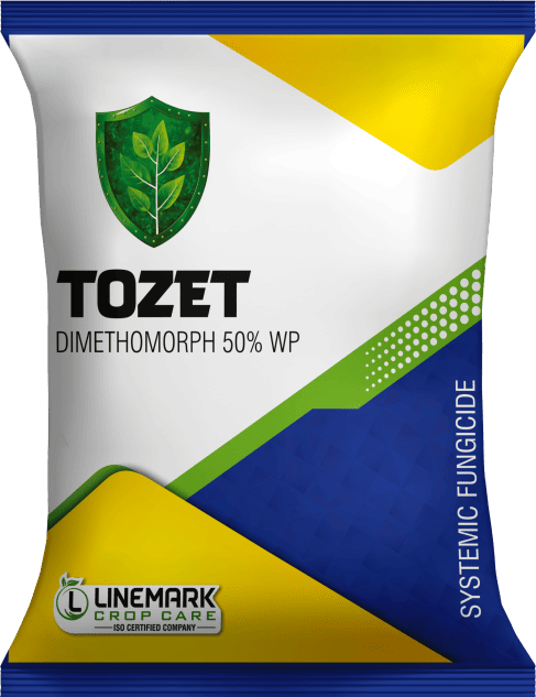 Tozet