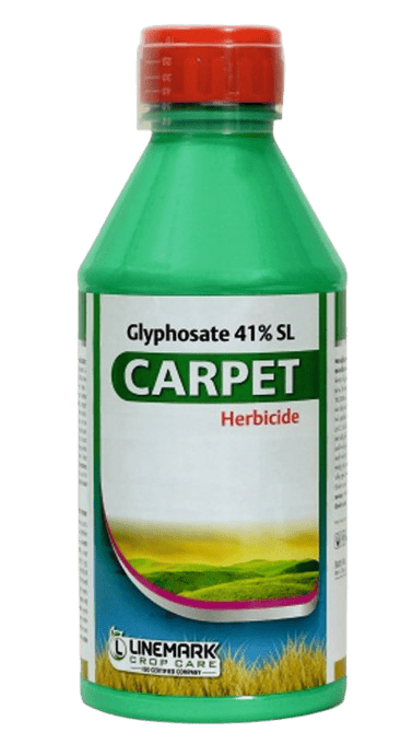 Carpet