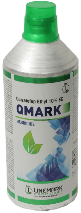 Q Mark
