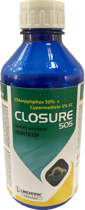 Closer 505