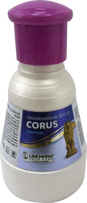 Corus