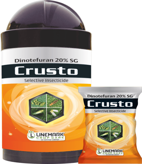Crusto