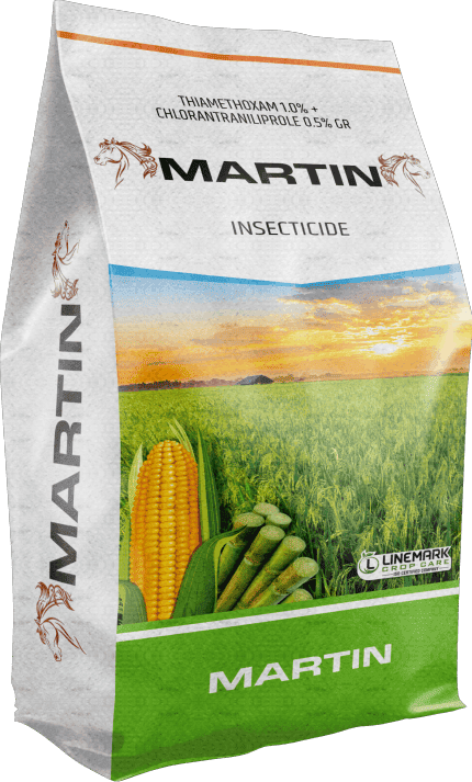 Martin