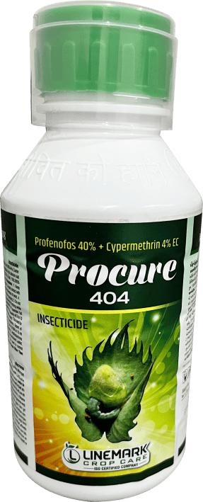 Procure 404