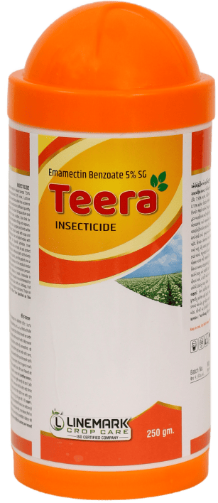 Teera