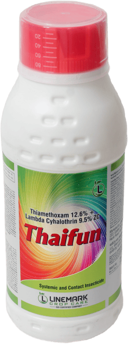 Thaifun