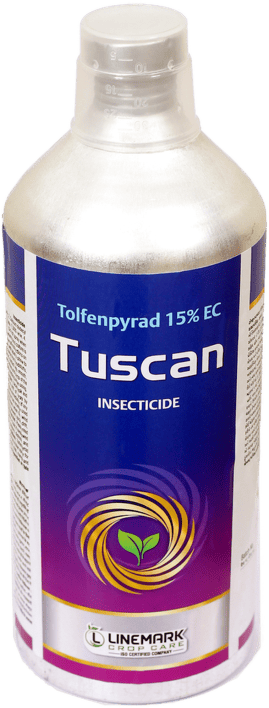 Tuscan