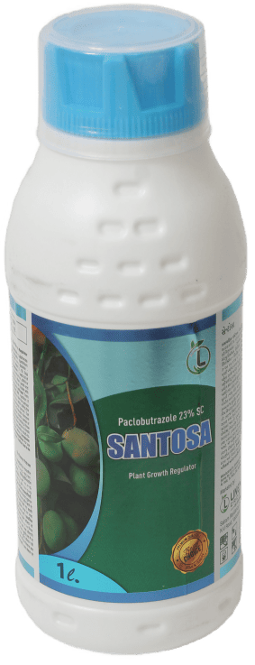 Santosa